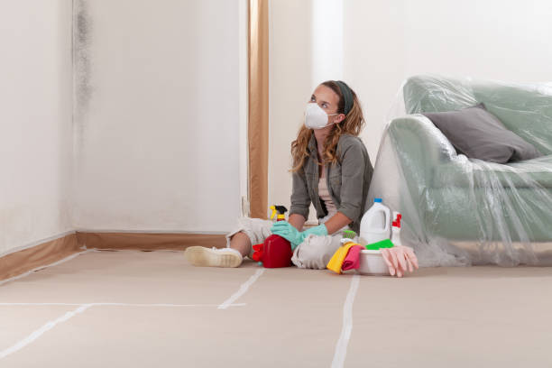 Reliable Commercial Mold Remediation contractor in Doylestown, PA by Car Mold Remediation